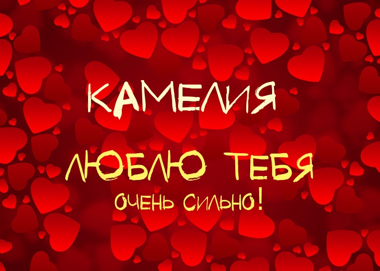 Камелия, люблю тебя очень сильно!