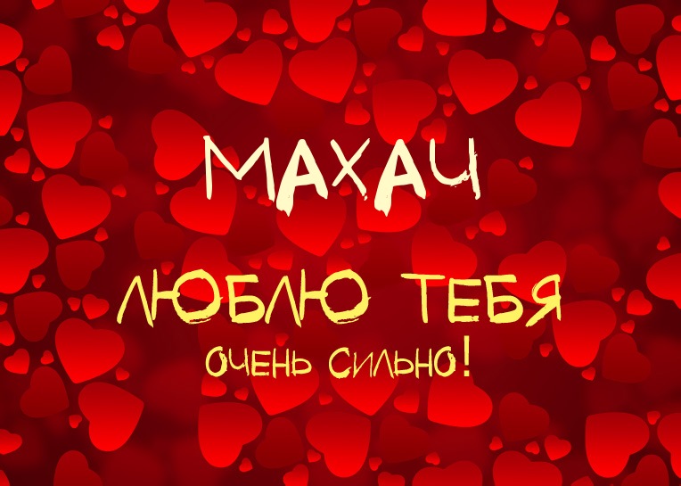 Махач, люблю тебя очень сильно!