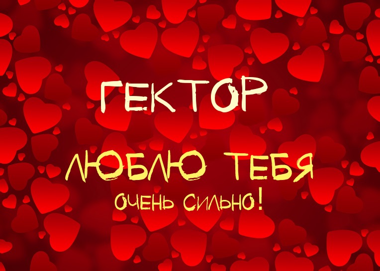 Гектор, люблю тебя очень сильно!