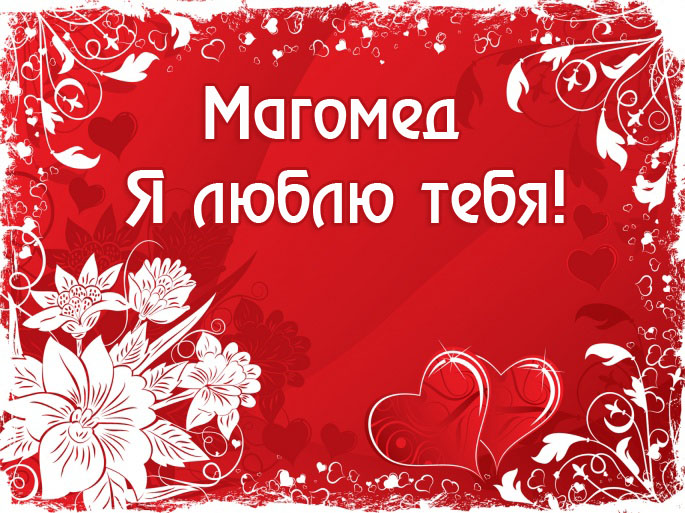 Магомед я люблю тебя!