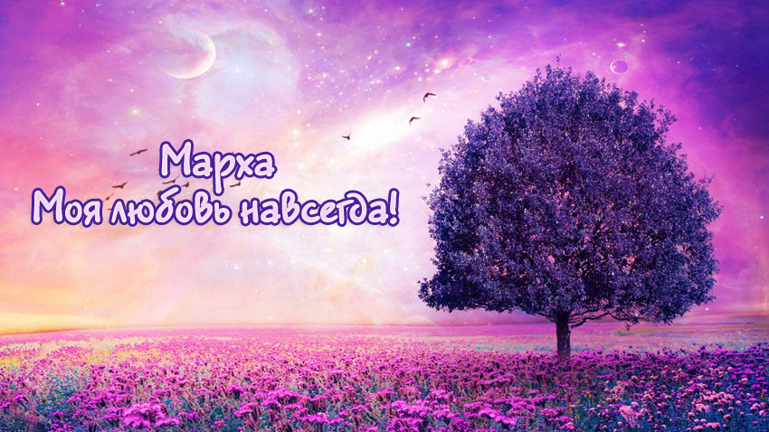 Марха, моя любовь навсегда!