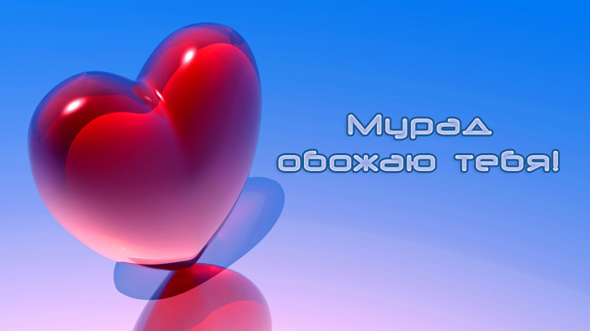 �����, ������ ����!