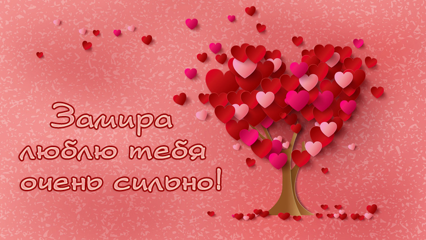 Замира, люблю тебя очень сильно!