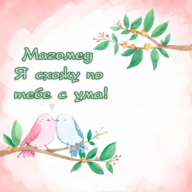 Магомед - я схожу по тебе с ума!