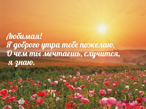 � ������� ���� ���� �������