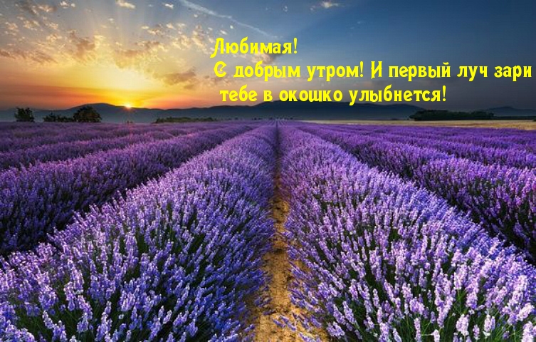 � ������ ��� ���� ���� � ������ ���������!