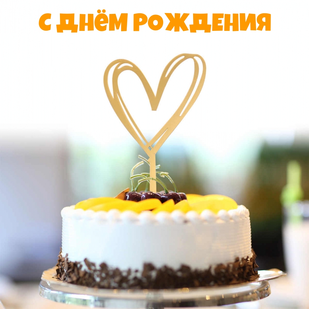 � ���� ��������