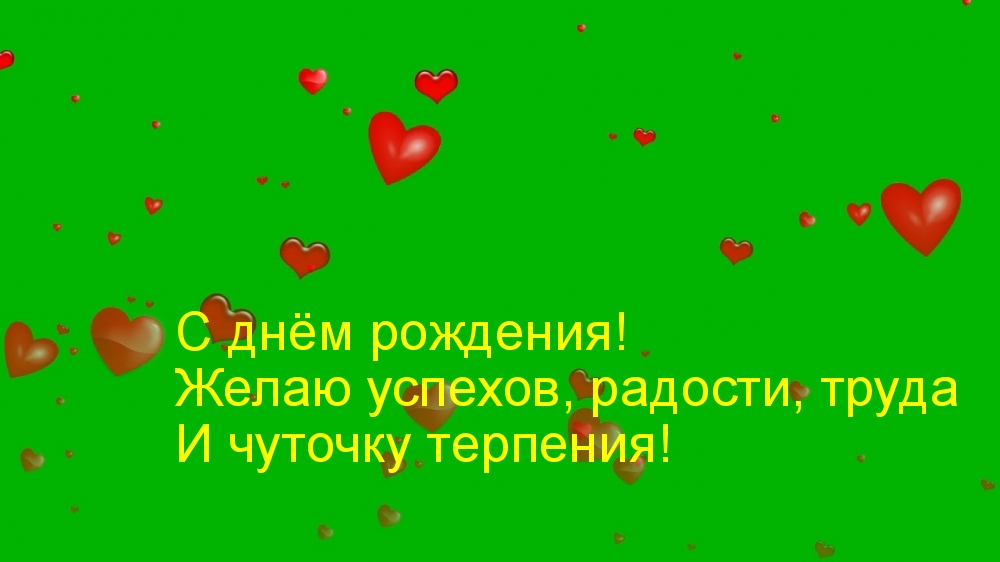 � ���� ��������! ����� �������!