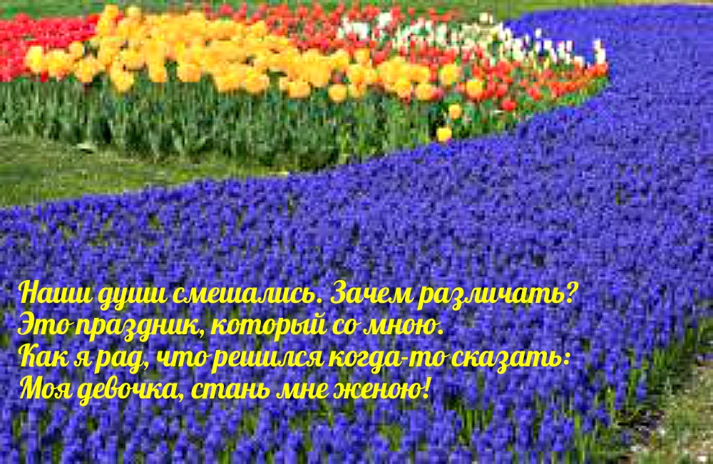 ���� ���, ����� ����!