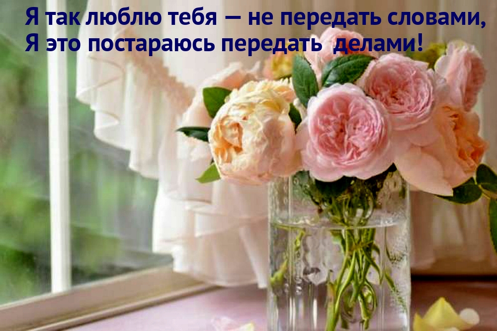 � ��� ����� ���� � �� �������� �������