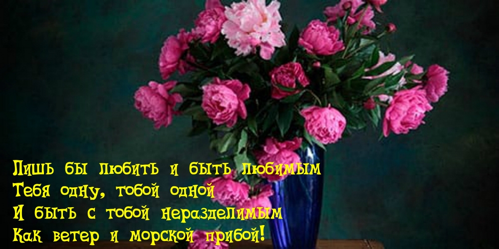 ���� �� ������ ���� ���� � ���� �������