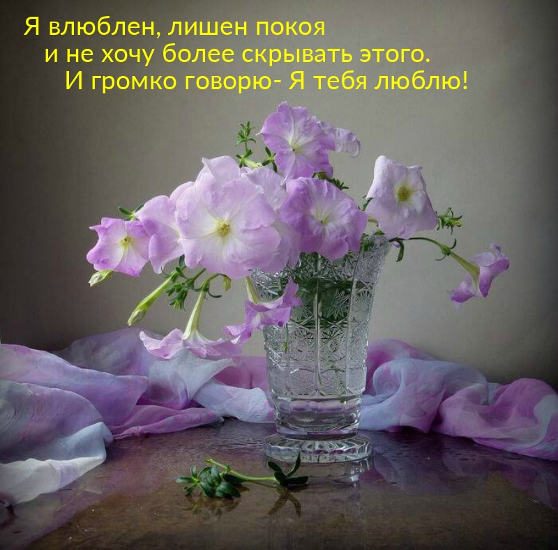� ������ ������- � ���� �����!