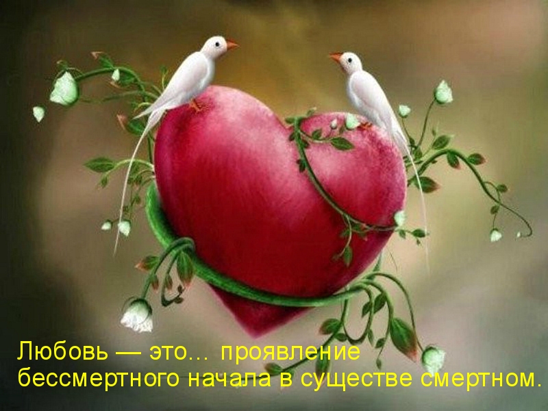 ������ � ���  ����������  ������������ ������