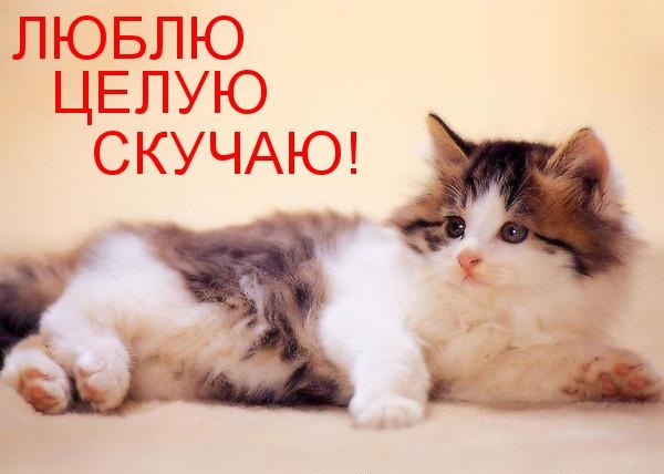 , , !
