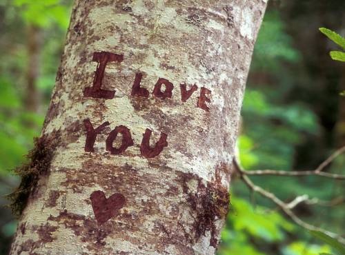 I Love you!