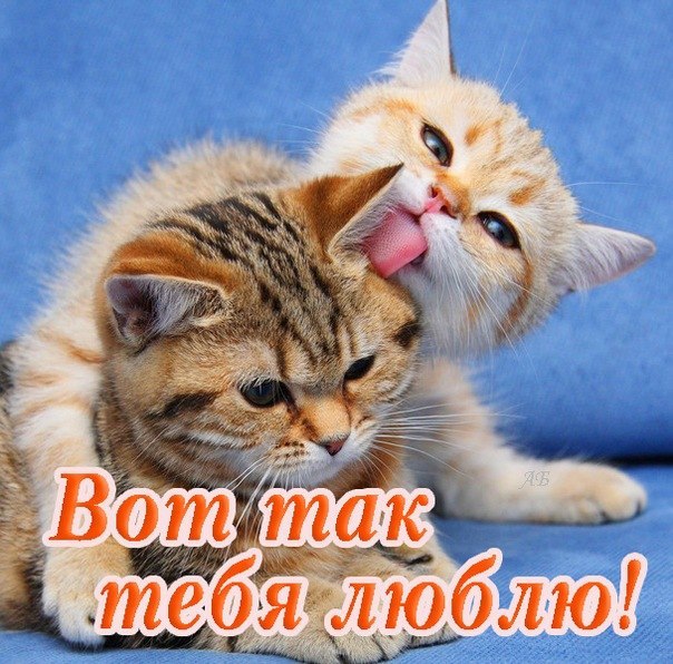    !