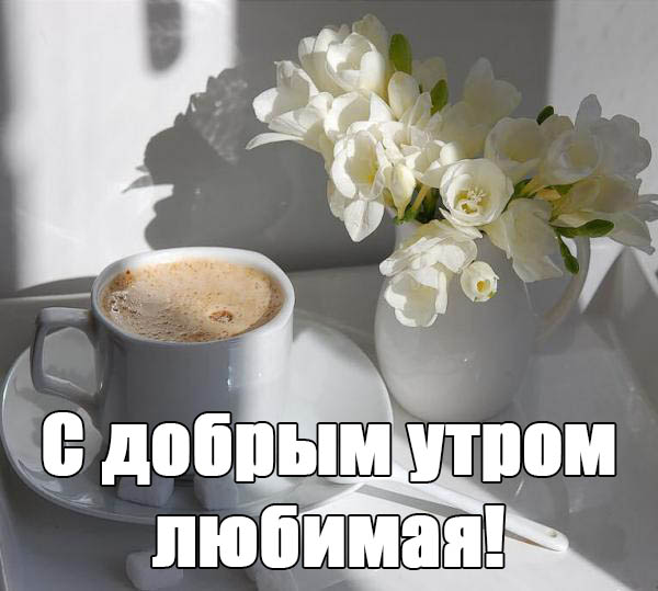 � ������ �����, �������!