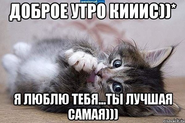 ������ ����, ���) ����� ����