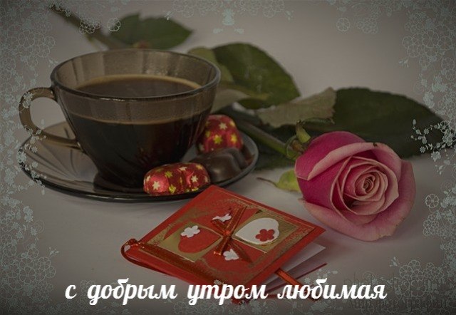 � ������ �����, �������