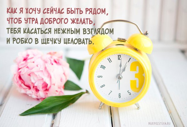 ��� � ���� ������ ���� �����