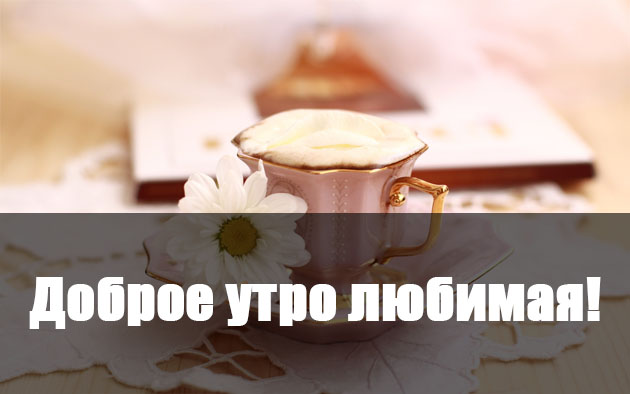 ������ ����, �������!