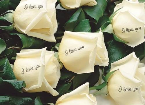 I love you   