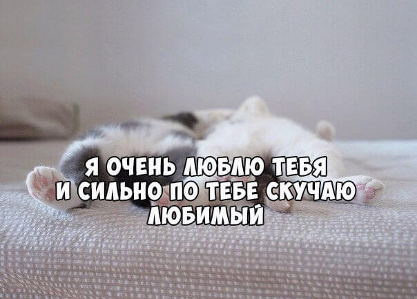 Открыть в полном размере Сильно по тебе скучаю, любимый!