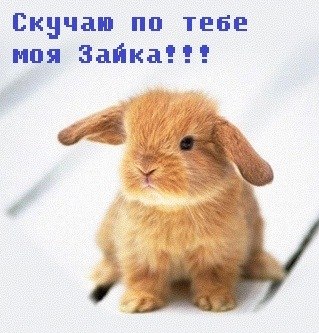 Открыть в полном размере Скучаю по тебе моя зайка!