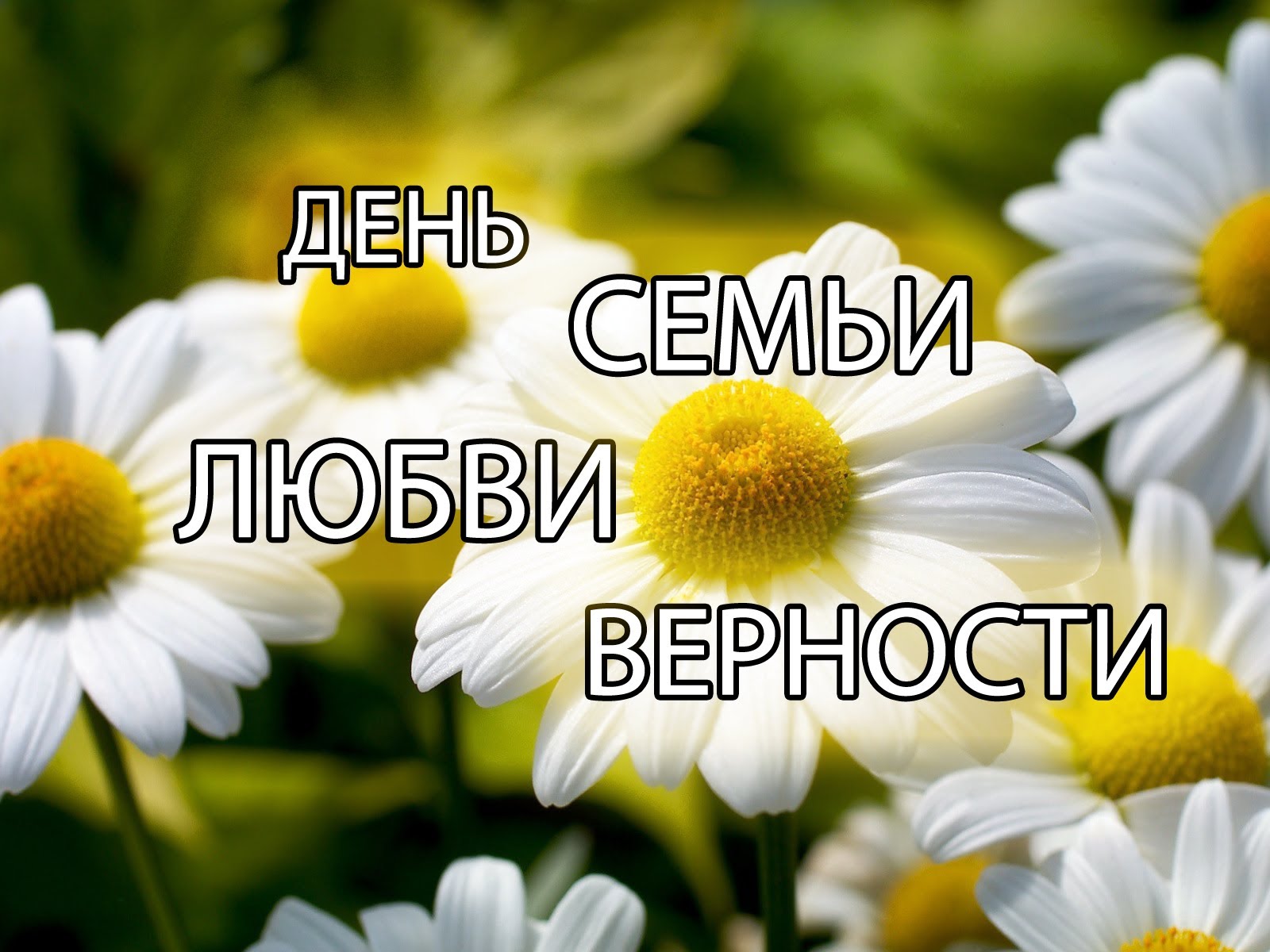  ,   !