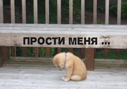 Открыть в полном размере Прости меня