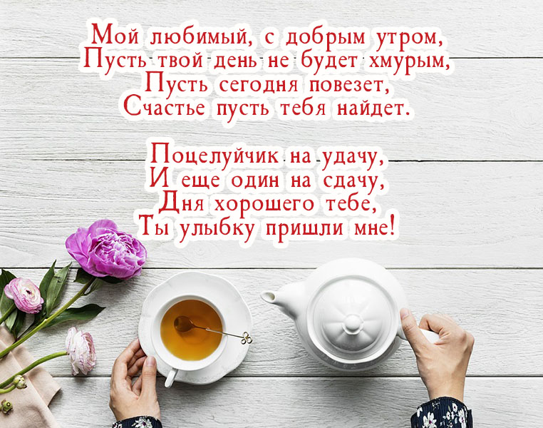 ��� �������, � ������ �����! �������������