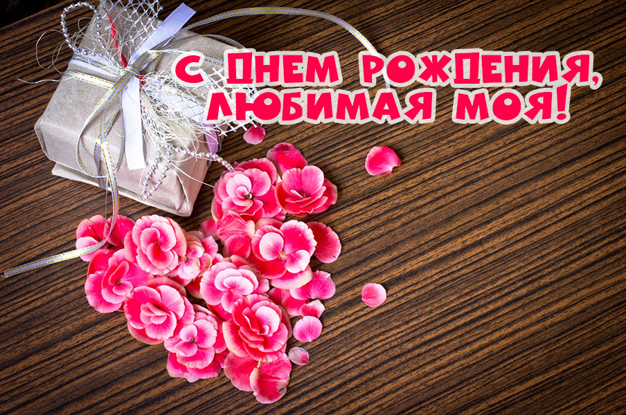 � ���� ��������, ������� ���!
