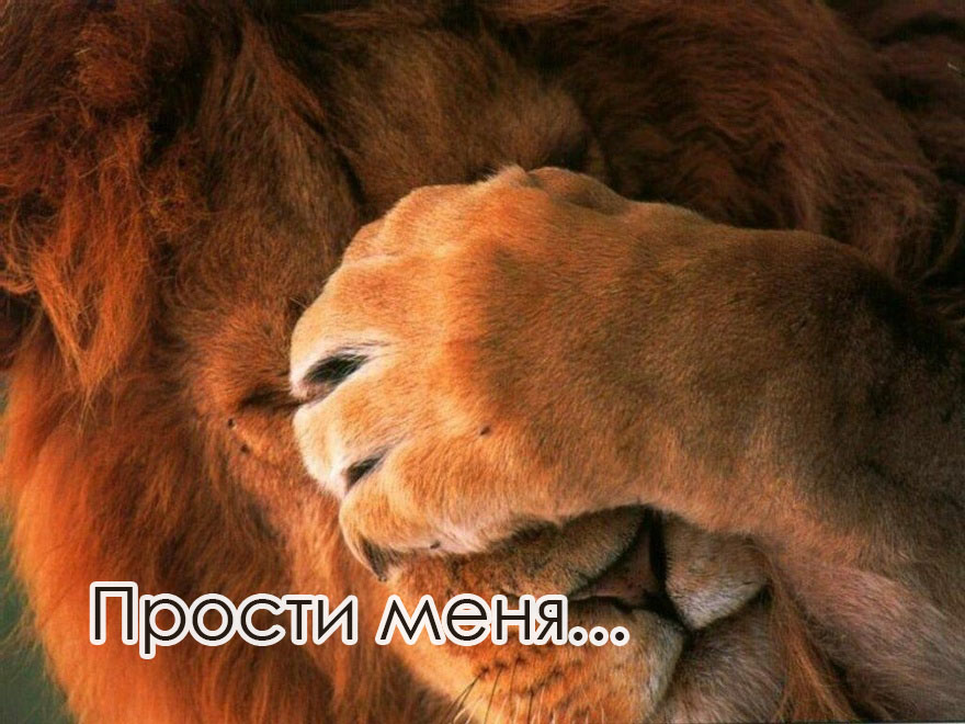 Открыть в полном размере Прости меня...