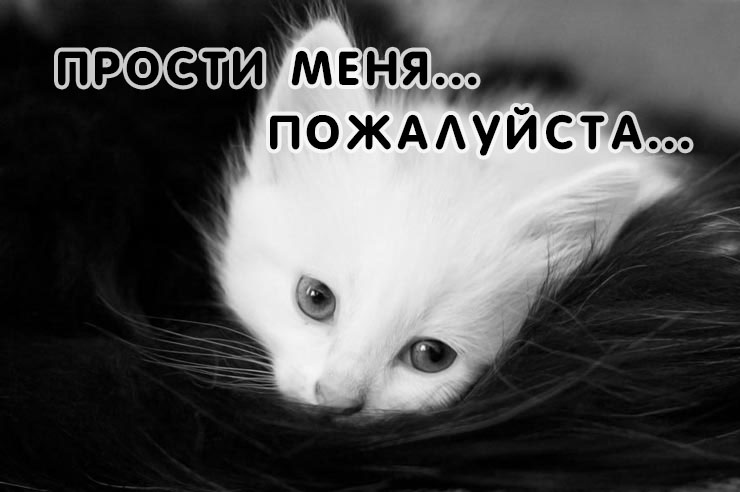 Открыть в полном размере Прости меня... Пожалуйста