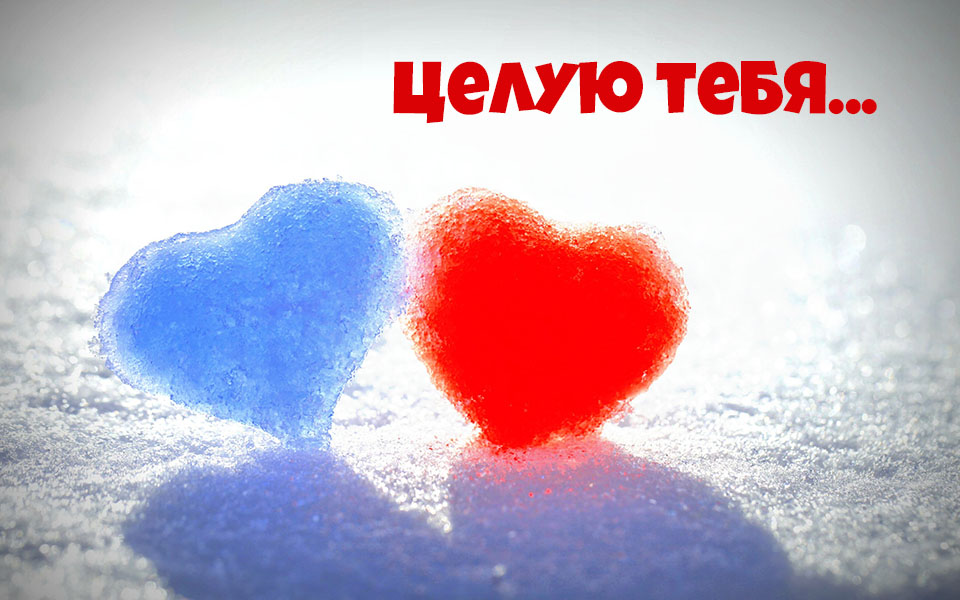 Открыть в полном размере Целую тебя!