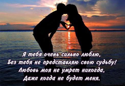 � ���� ����� ������ ����� - �������������
