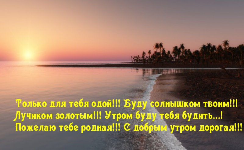 � ������ ����� �������!