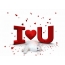 I love you
