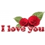 I love you